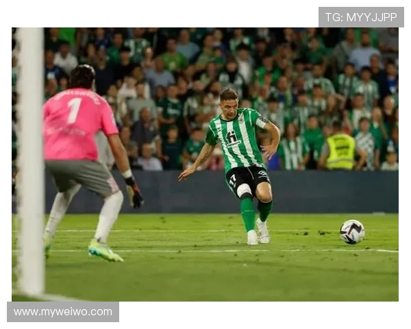 皇家贝蒂斯俱乐部百年征程与塞维利亚城市文化融合发展的深度探秘